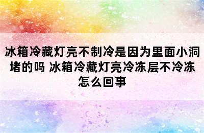 冰箱冷藏灯亮不制冷是因为里面小洞堵的吗 冰箱冷藏灯亮冷冻层不冷冻怎么回事